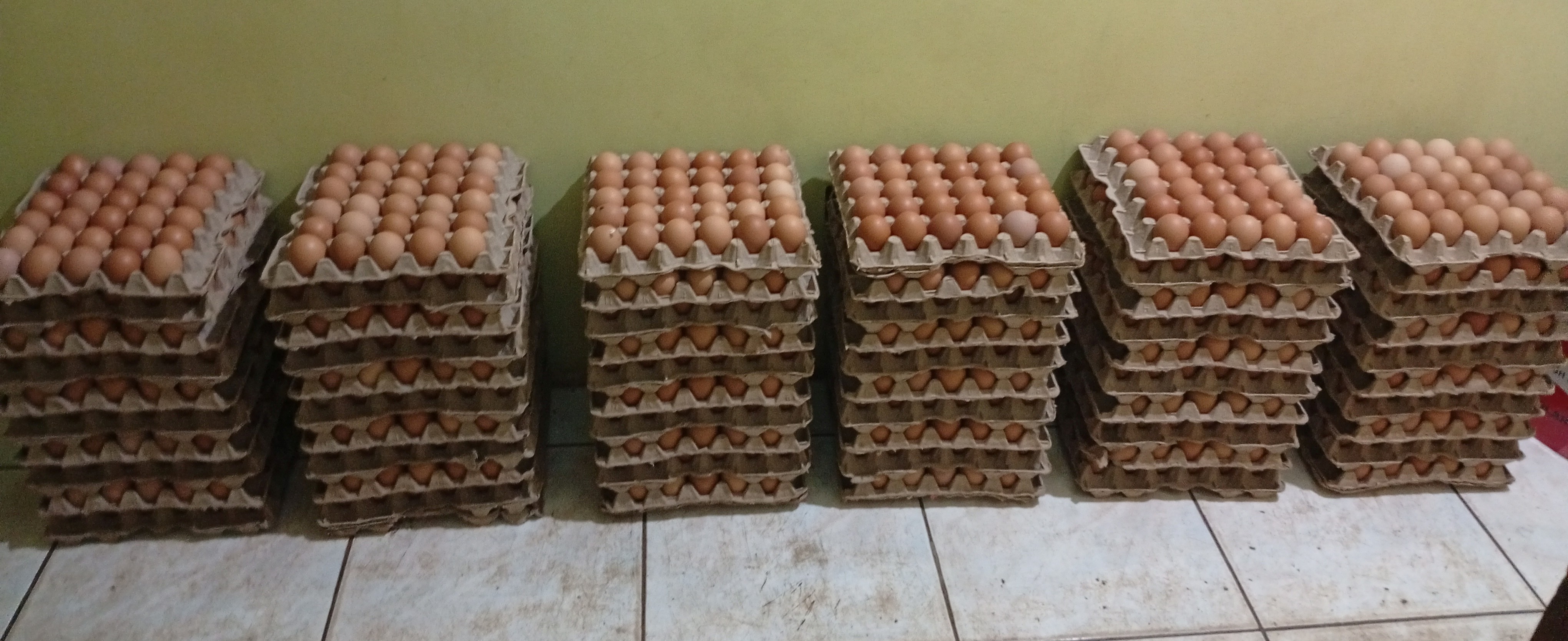 Eggs
