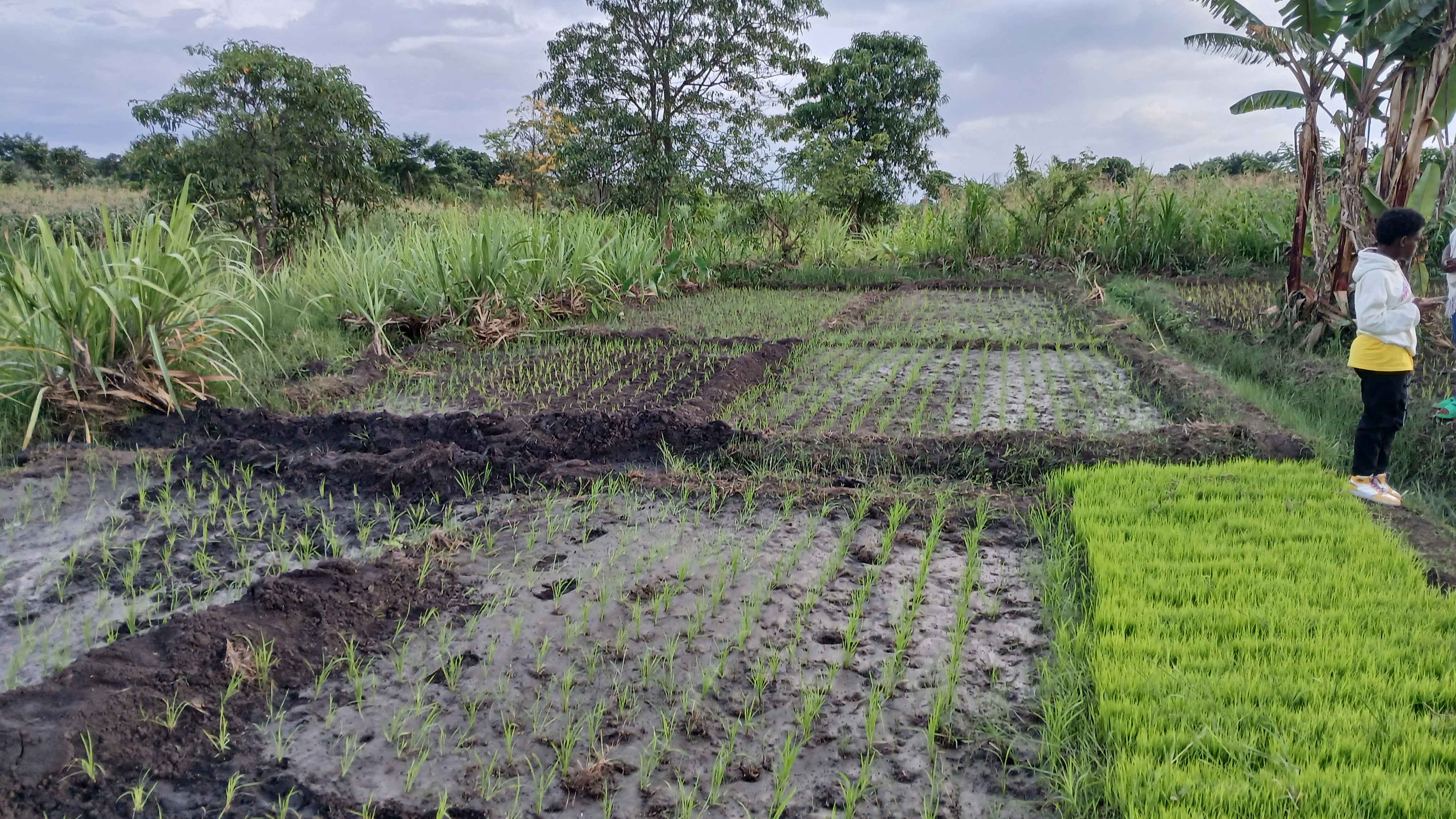 Fresh farm products you can trust