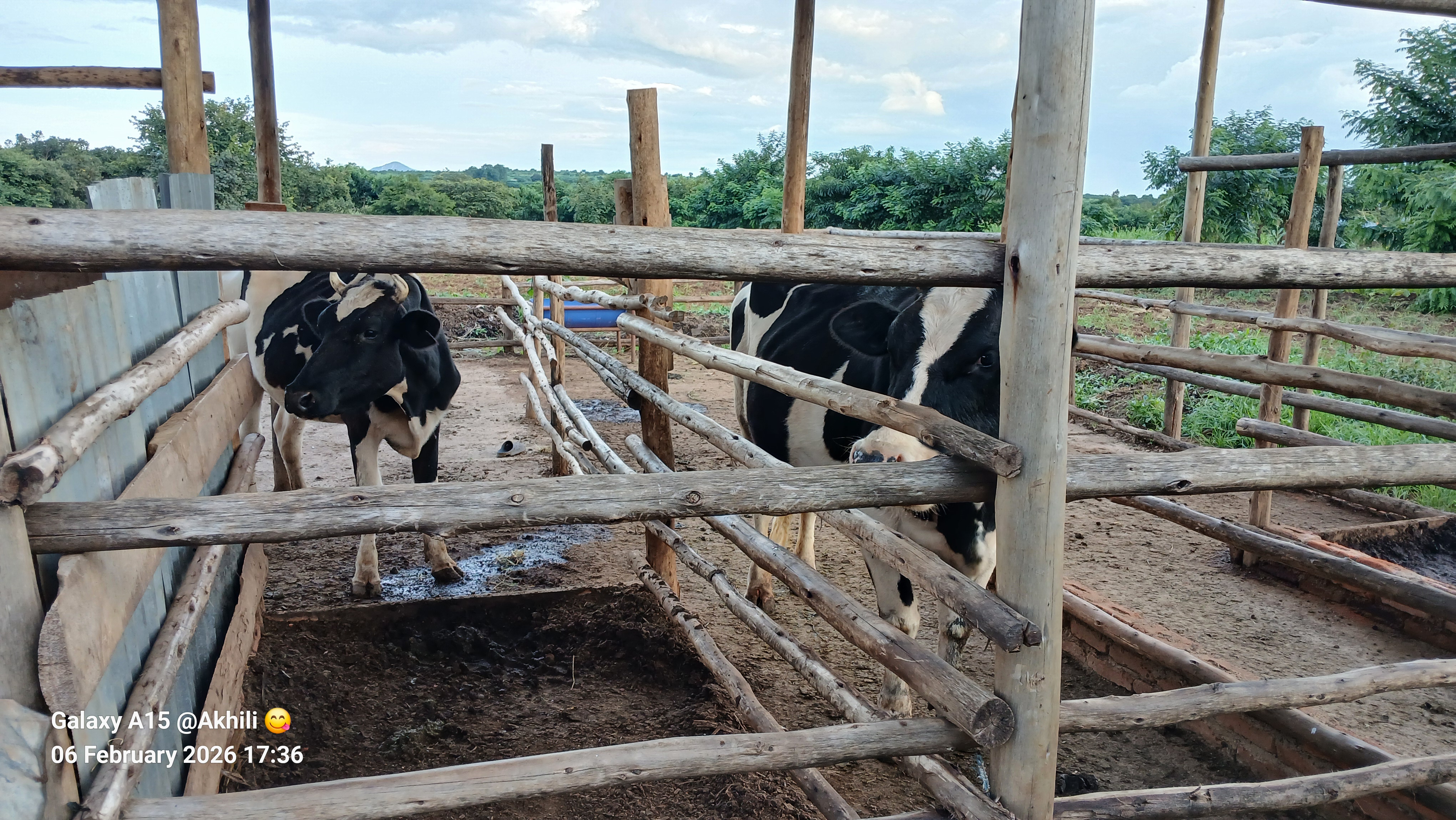 Farm Image 1