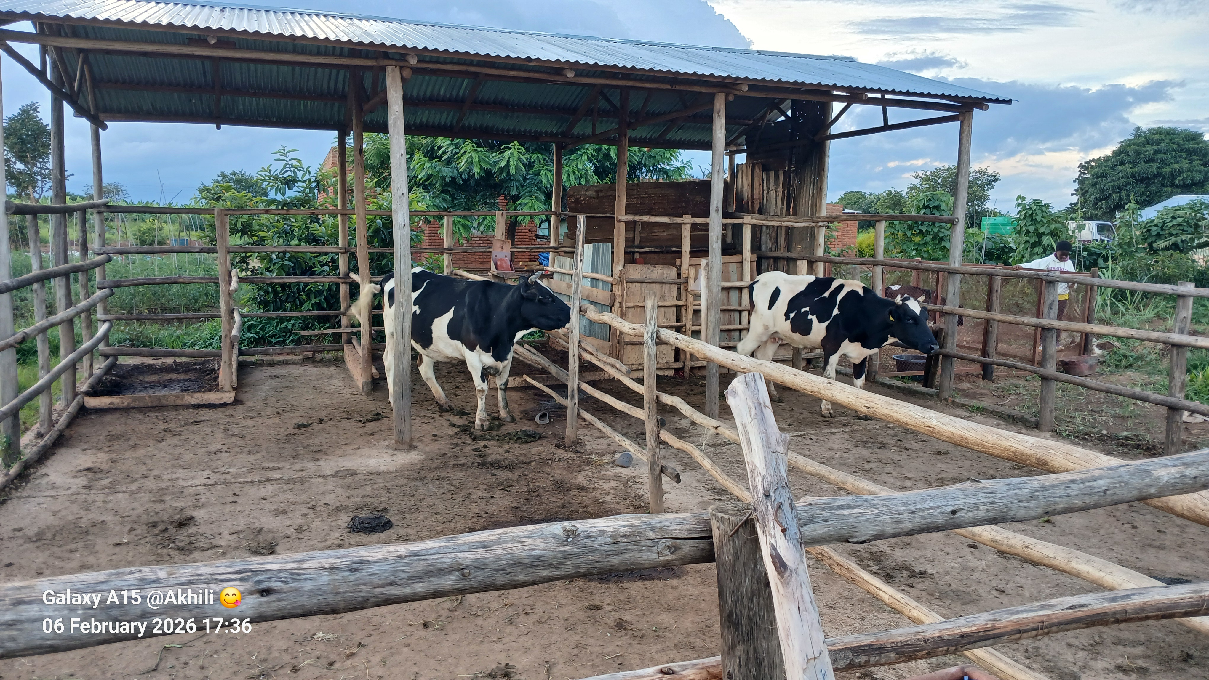 Farm Image 2