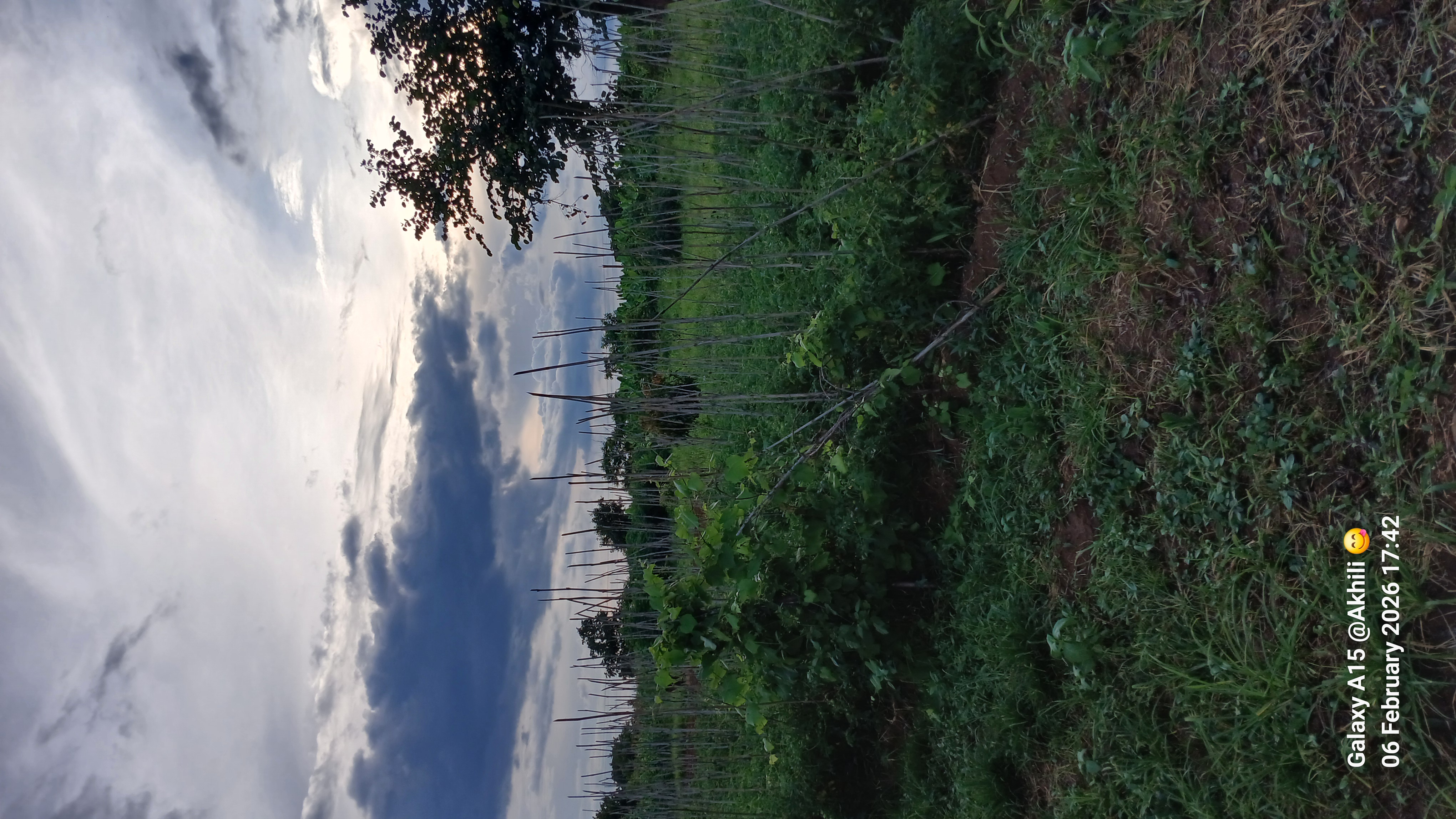 Farm Image 4