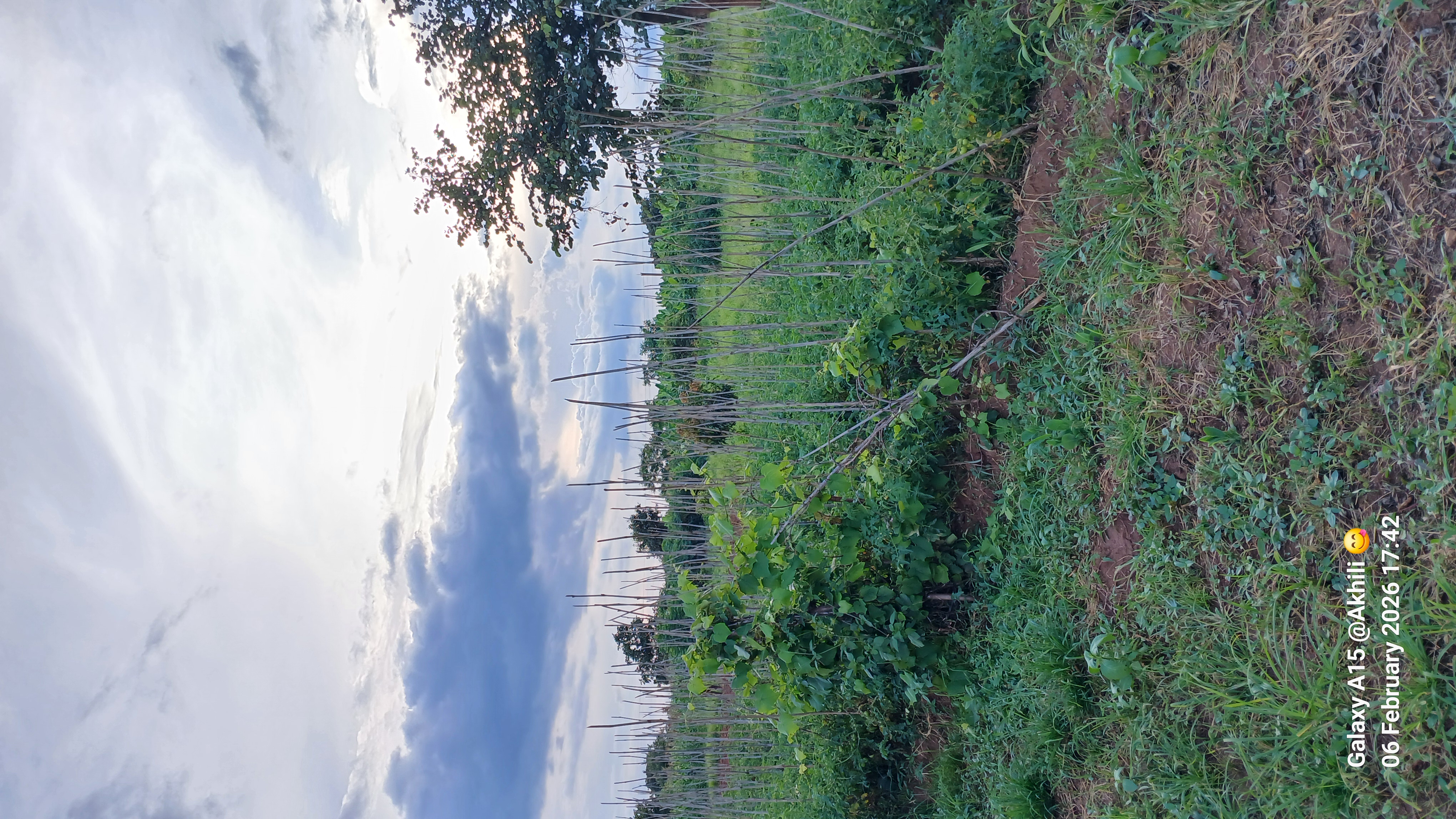 Farm Image 5